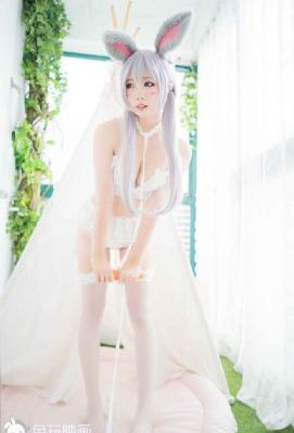 红蝎子之带泪梨花